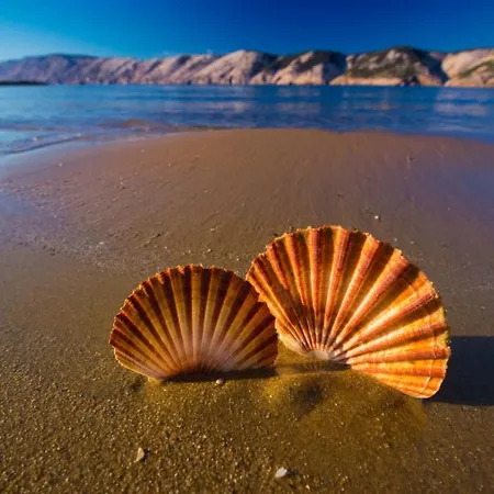 In With Balcony, Air Conditioning, Wifi 87-4